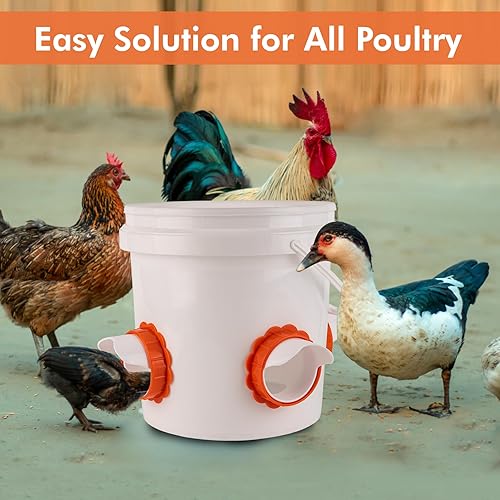 Miniatura 4 de Twinkle Star Puertos de alimentación de pollo DIY, alimentador automático de pollo con tapón, a prueba de lluvia, comederos de pollo sin residuos,