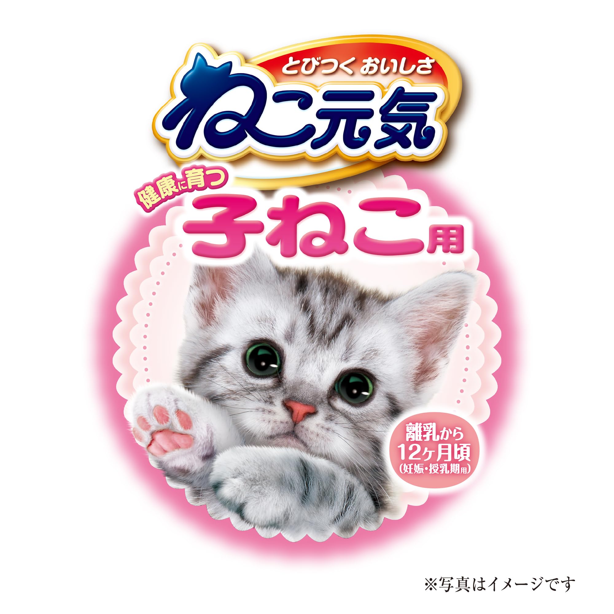 Amazon | ねこ元気 健康に育つ子ねこ用 お魚とお肉ミックス まぐろ