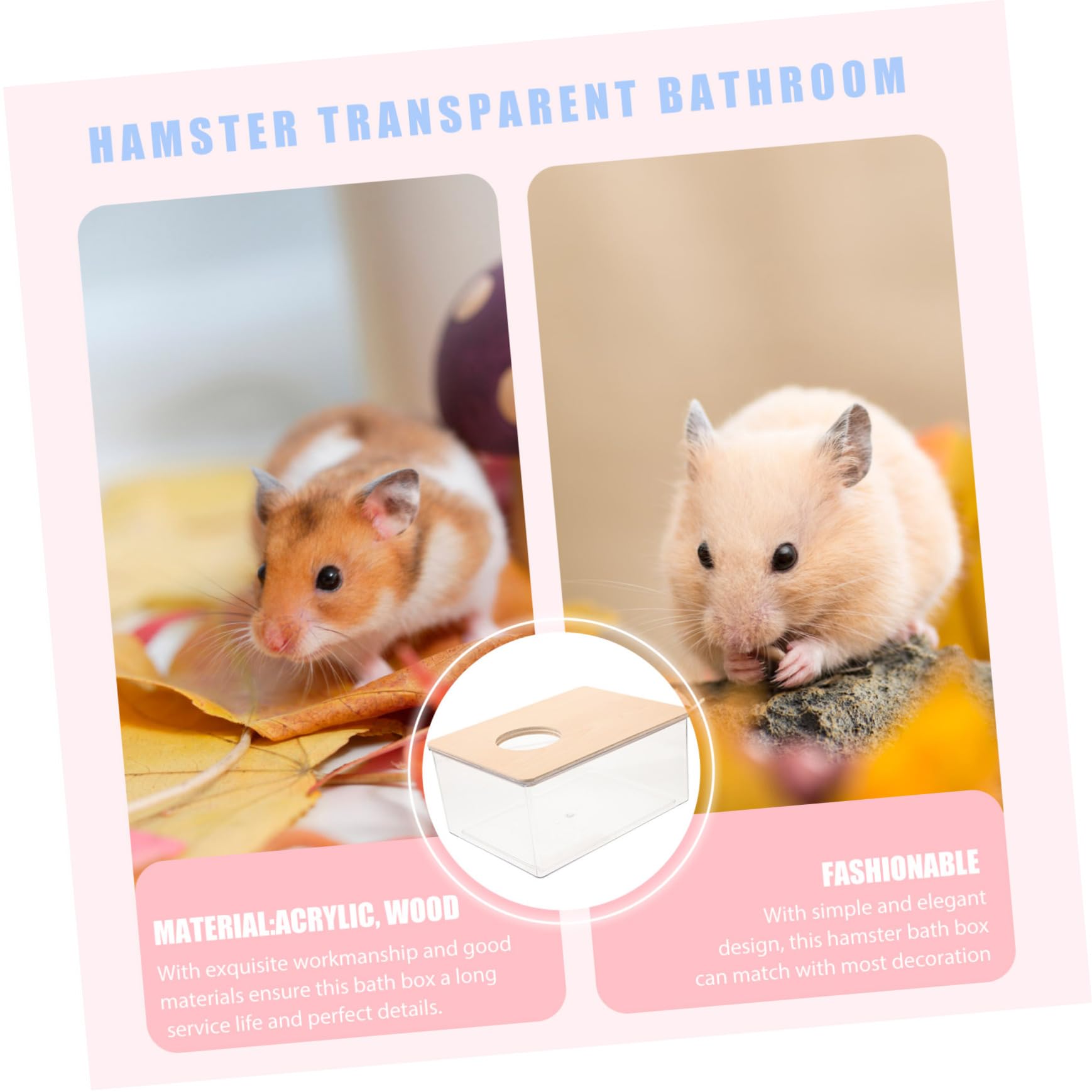 POPETPOP Transparente Hamster Sandbadebox Groß aus Acryl und Holz