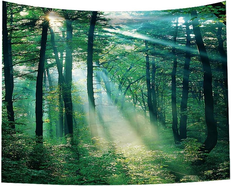 Green Misty Forest Tapestry Wall Hanging Nature Landscape Tapestry Sunshine Through Tree Tapestries for Bedroom Living Room Dorm Decor