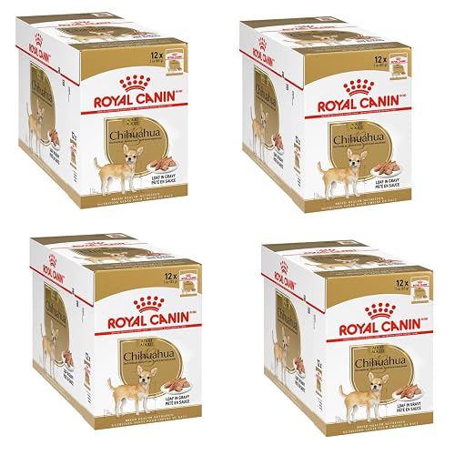 Royal Canin Chihuahua Adult