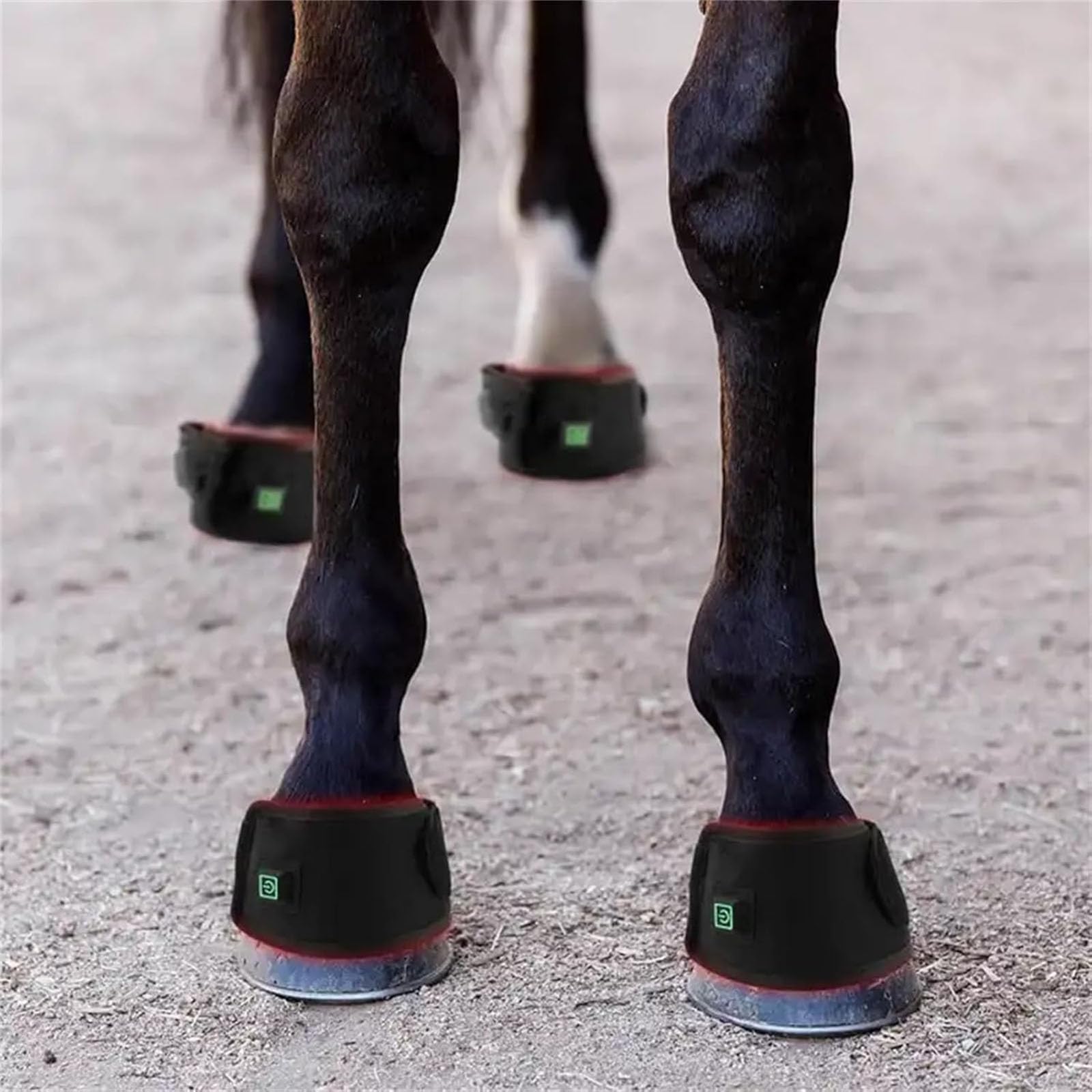 Dispositivo De Terapia De Luz Roja Led para Cascos De Caballos, Envoltura PortáTil De Terapia De Infrarrojo Cercano para Caballos, Terapia De Luz Profunda