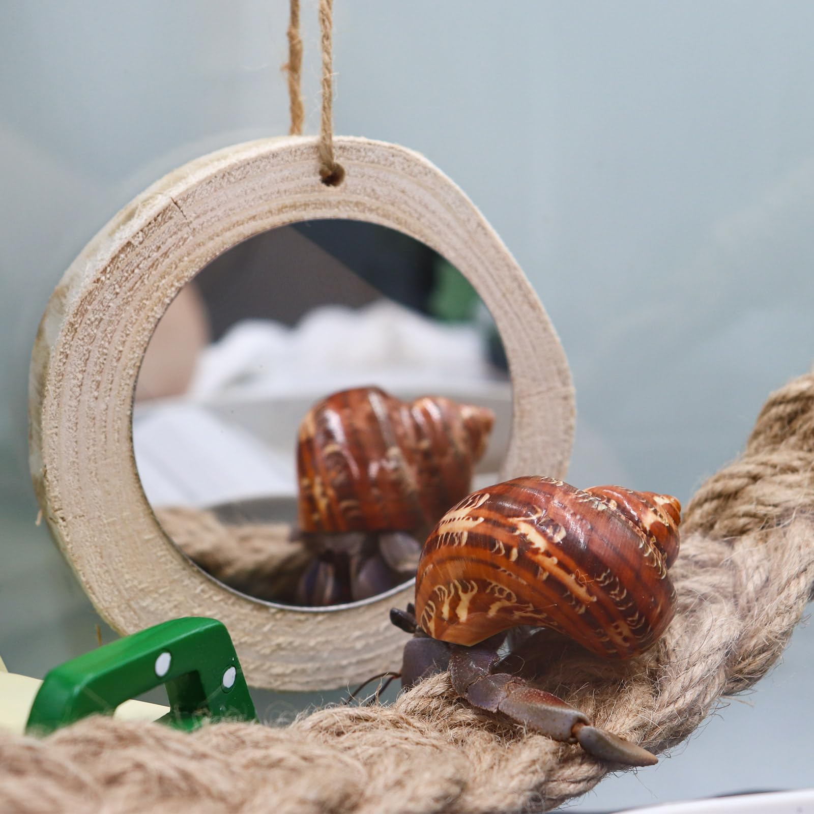 Hermit Crab Climbing Toy - Natural Wooden Swing For Reptiles, Birds & Small Pets
