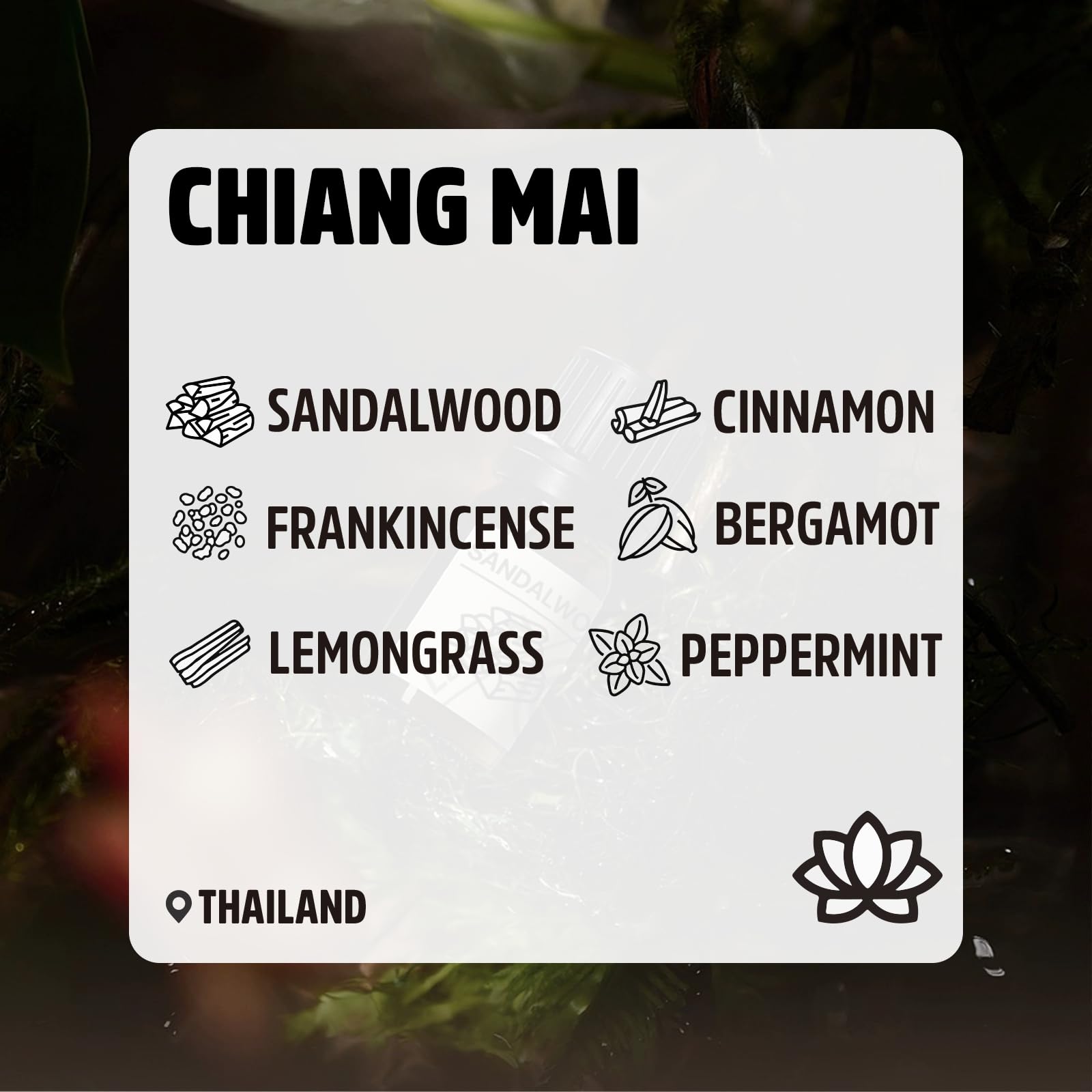 Juego de Aceites Esenciales Serie Chiang Mai, Set de 6 Aceites 100% Puros - Canela, Sándalo, Incienso, Menta, Hierba de Limón, Bergamota 10ML Hacer Velas, Fragancias Frescas y Difusor