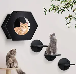 Cat Wall Furniture, Cat Wall Shelves Fit Cat Up to 15Lbs, 1 Cat Shelf and 3 Cat Wall Steps with Scratching Pad,Cat Climbing Shelf and Perch for Wall, Cat Shelves Wall Mount, Modern Cat Wall Furniture