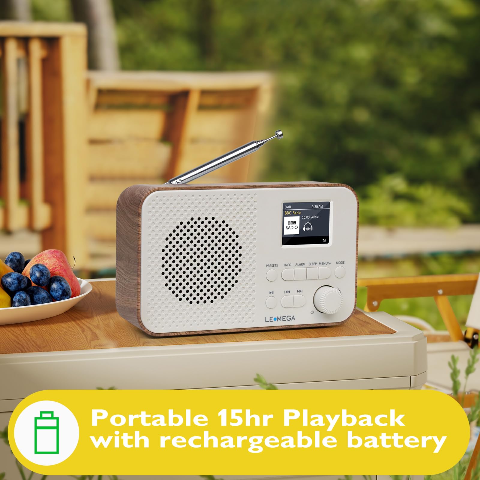 Radio Dab+ Portable avec Bluetooth | Batterie Rechargeable 15 Heures ou Alimentation Secteur | Ecran Couleur Petite Radio Dab avec réveil | Radio FM, 40 présélections, Prise Casque | LEMEGA Dab GO