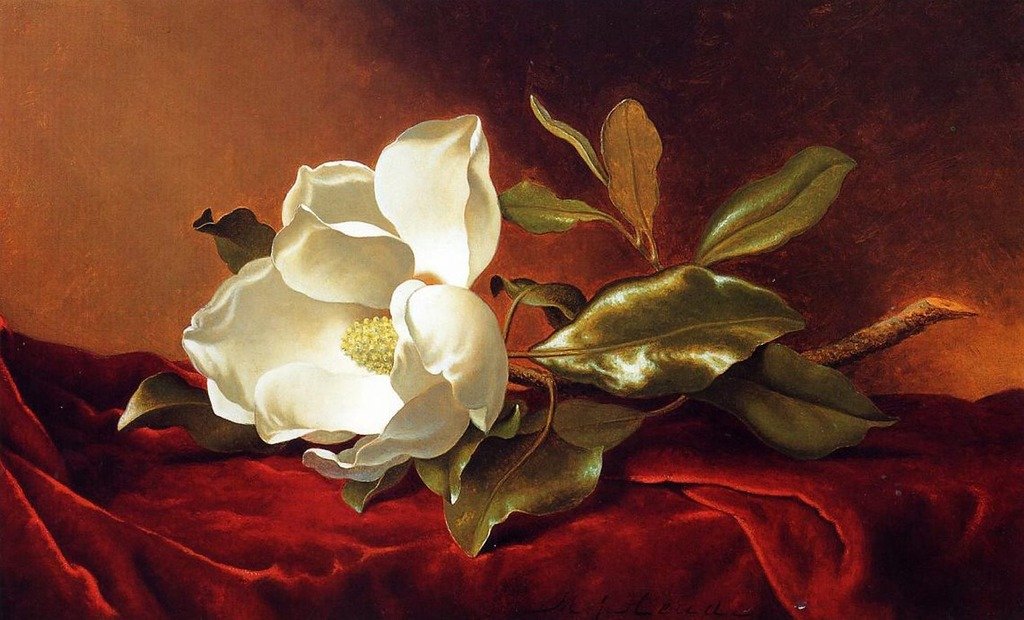 Roya Art-Magnolia Grandiflora by Martin Johnson Heade Hand Painted Classical Reproduction Painting On Canvas White Flower Painting for Home/Office Wall Decoration, Size 24" Wide x 20" high