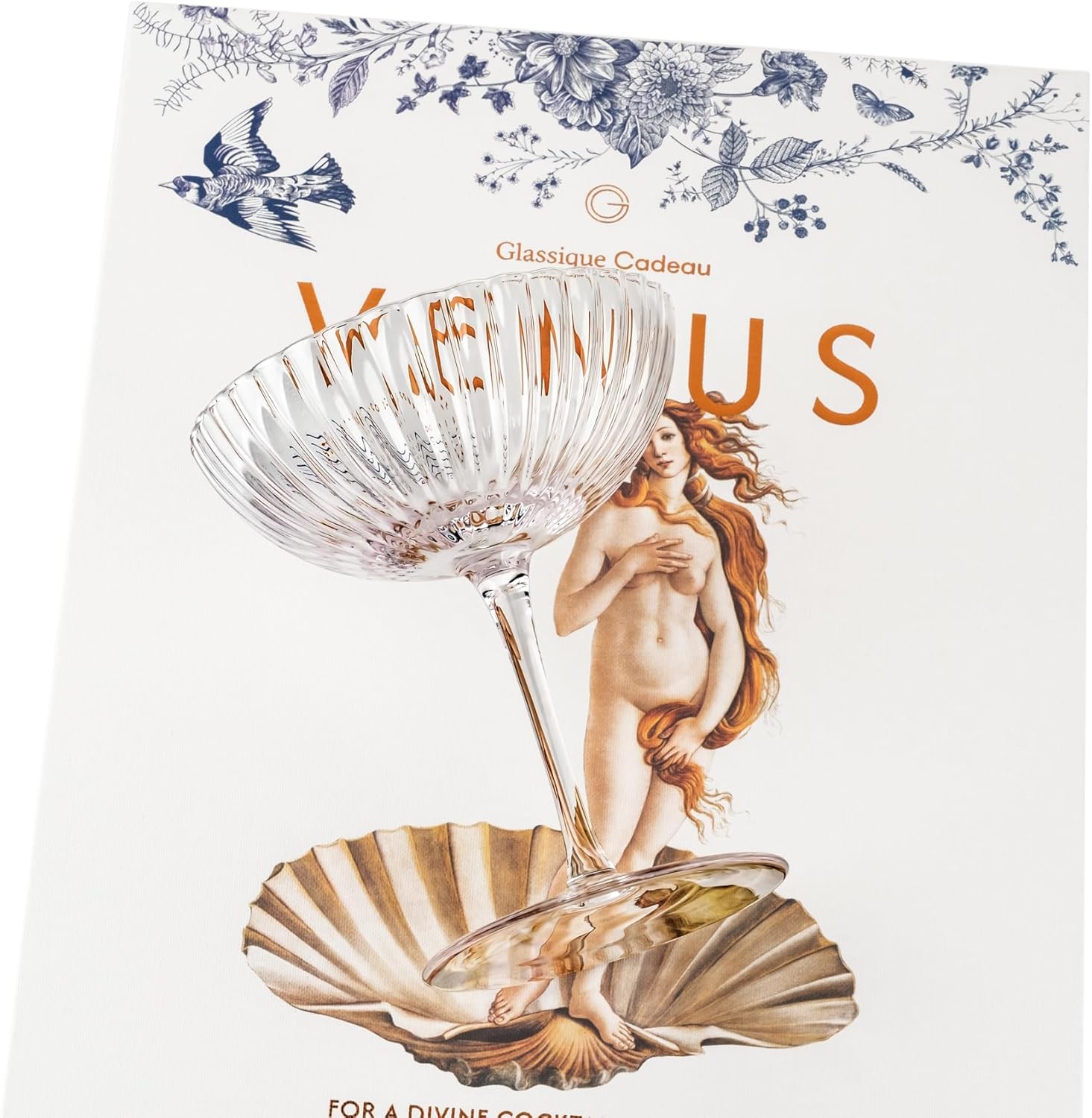 Venus Seashell Coupe Cocktail Glasses | Set of 4 | 8 oz Crystal Ribbed Champagne Saucers for Drinking P-Star and Espresso Martini, Margarita, Daiquiri, Cosmopolitan, Gimlet | Elegant Gift Glassware