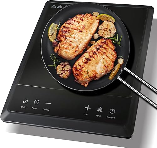 Cocina de inducción portátil de 1600 W, cocina de inducción eléctrica y quemador, placa caliente de encimera con ajuste de 10 niveles, temporizador