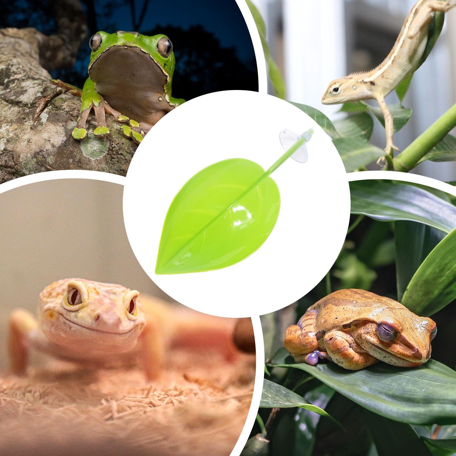 Taras do odpoczynku dla gadów, z przyssawką, liść tarasu, akcesorium do siedliska płazów, funkcjonalna strefa odosobnienia, konstrukcja o naturalnym wyglądzie, sprzęt terrarium dla gekonów, żab i