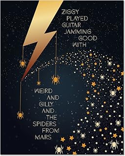 Ziggy Stardust by David Bowie Lyrically Inspired Song Illustration Music Quote Wall Art