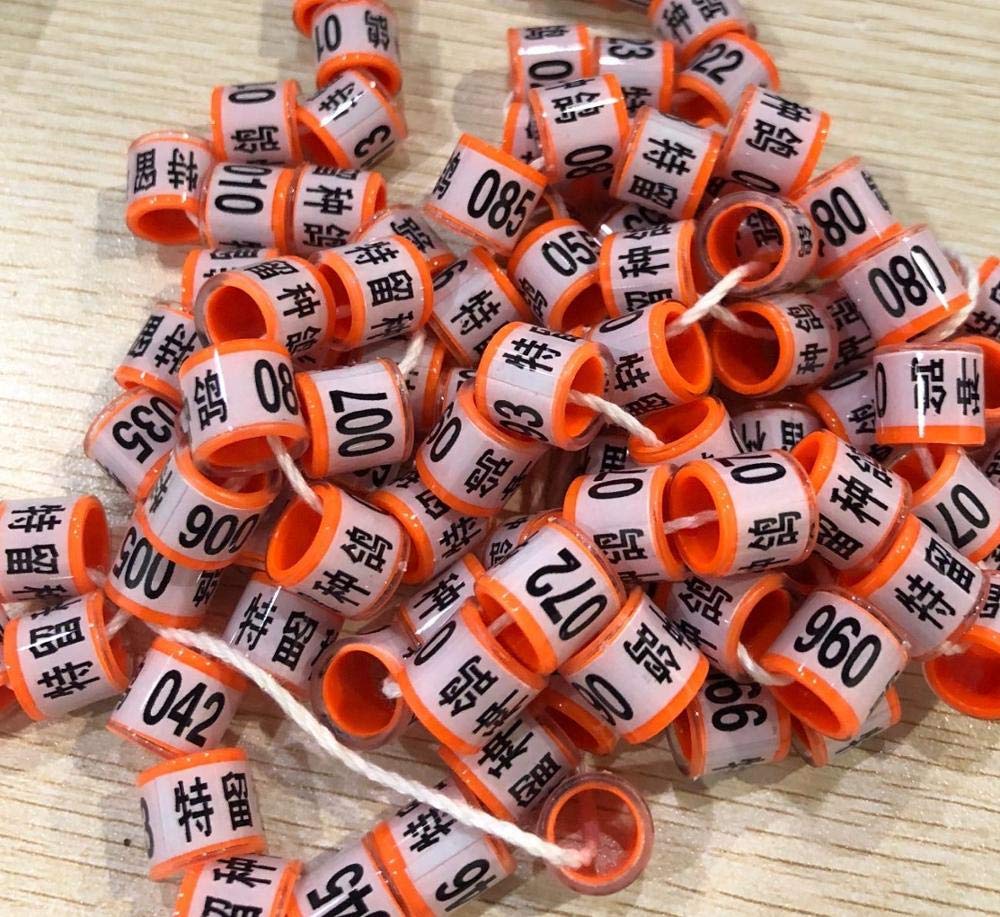 Lot de 100 anneaux colorés en plastique 8 mm orange numérotés