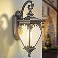 Gooseneck Outdoor Wall Lights, 14.4"H Black Vintage Industrial Exterior Lantern Light for Porch, Patio, Yard, Garden, Outside Waterproof Aluminum Wall Sconce Lamp Lighting Fixtures with Cracked Glass