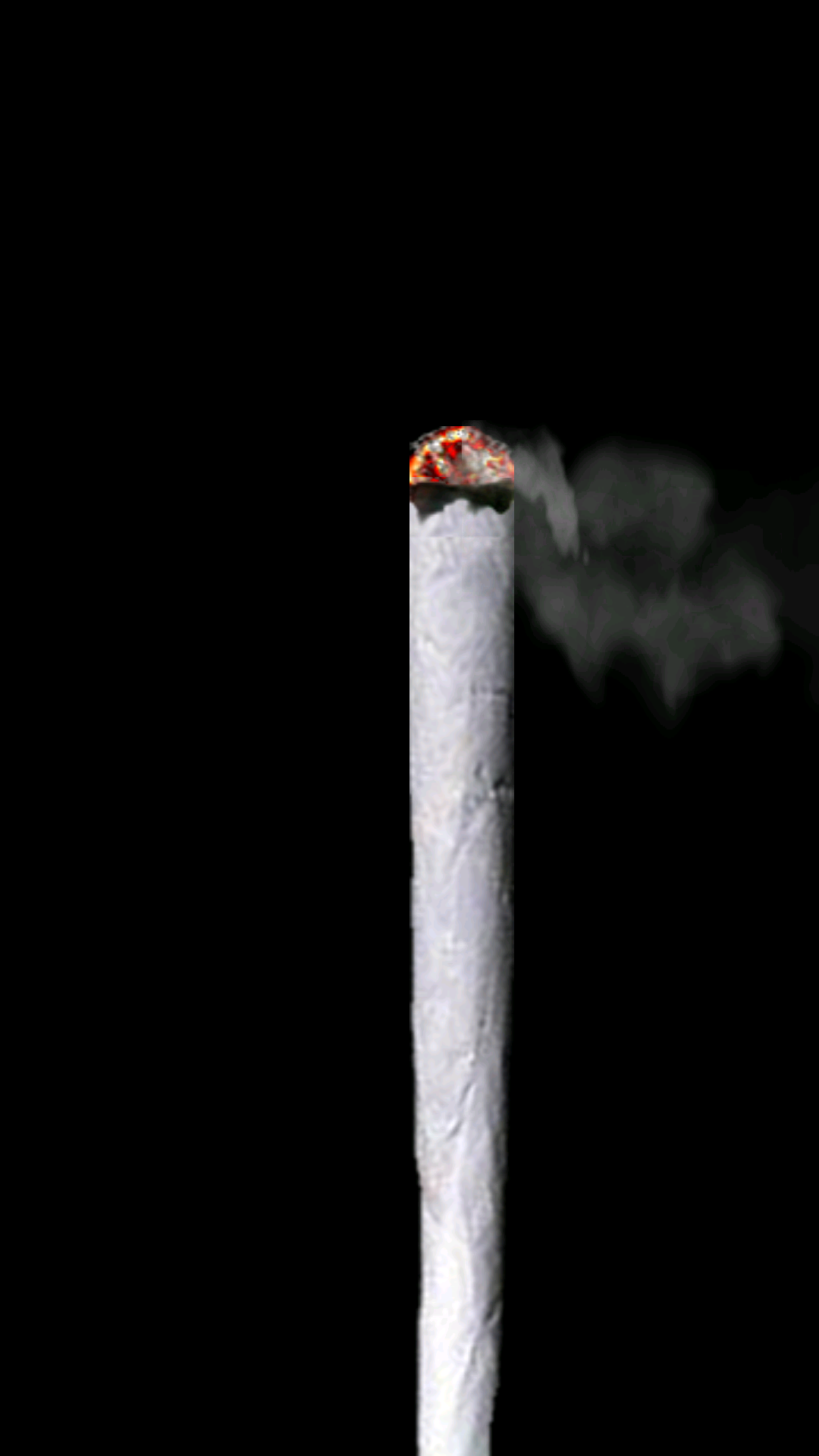 Cigarettoid King Cigarette FREE