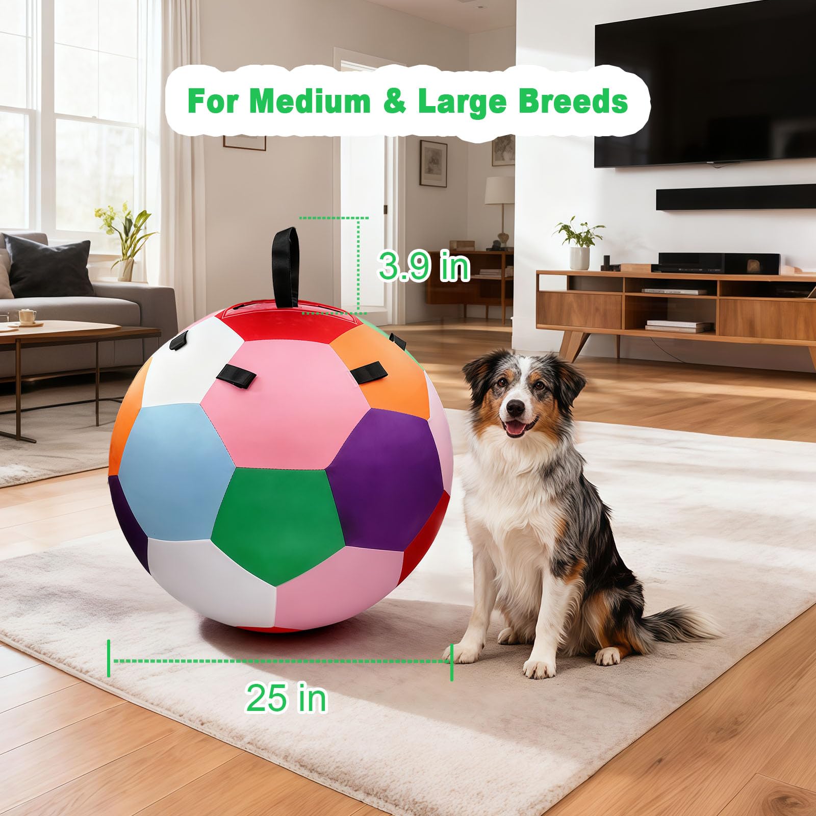 Herding Balls für Hunde, 63,5 cm, Herding Ball für australischen Schäferhund, Outdoor-Hundeball für Bewegung und geistige Stimulation, interaktives Hundespielzeug mit Gurtband, bunt