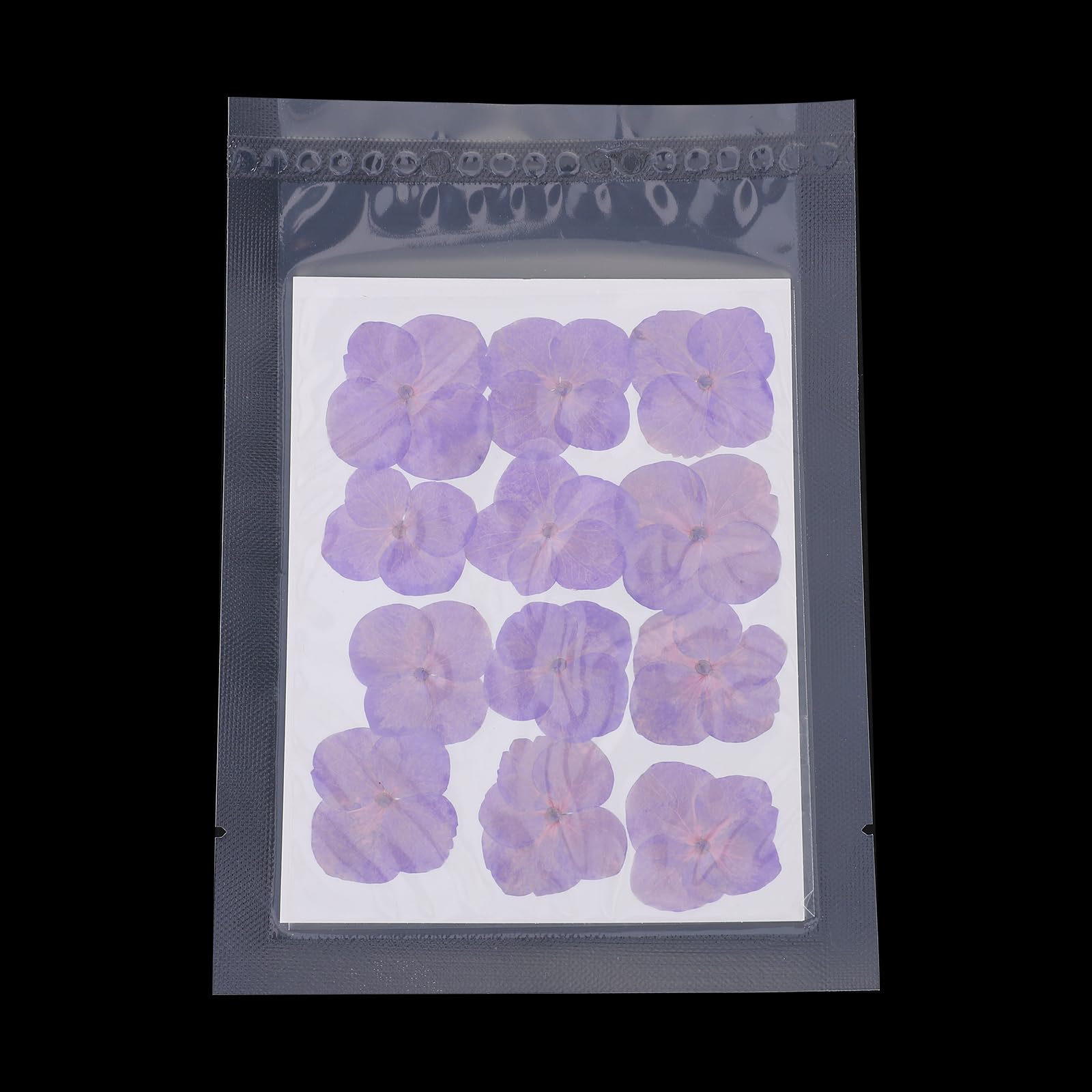 PATIKIL Dried Pressed Flower - Image 4