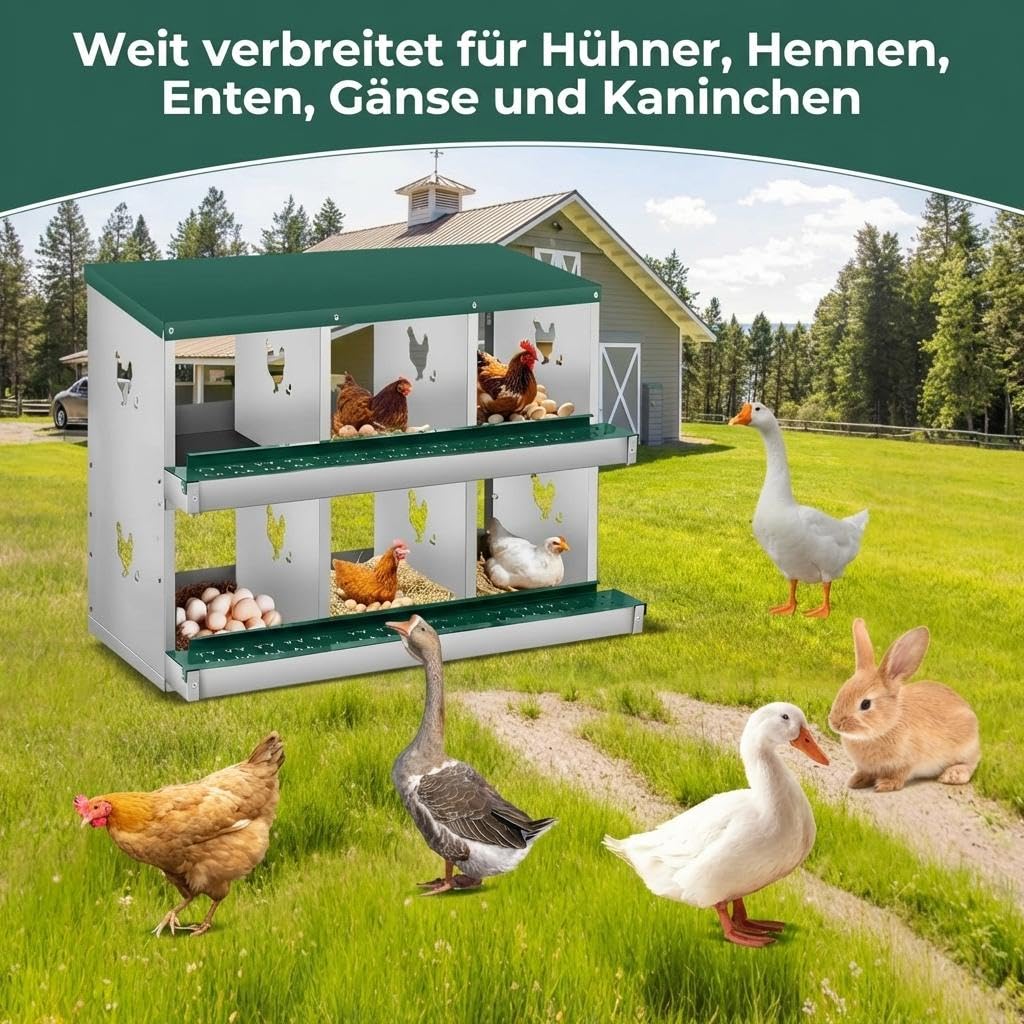 Hühner Legenest 6 Fächer Metall, Abrollnest mit Eierablage, Grün, Stabil | Leicht zu reinigen, Wandhalterung, Montageleicht, Hühnerstall, Geflügel, Hygiene, Robust, Zeitsparend, Nestbox