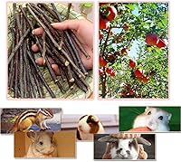 Vista 2 de Palitos de manzana de 8.82 oz para animales pequeños, golosinas de madera molar, juguetes para conejos, chinchillas, cobayas, hámster, jerbo, loro