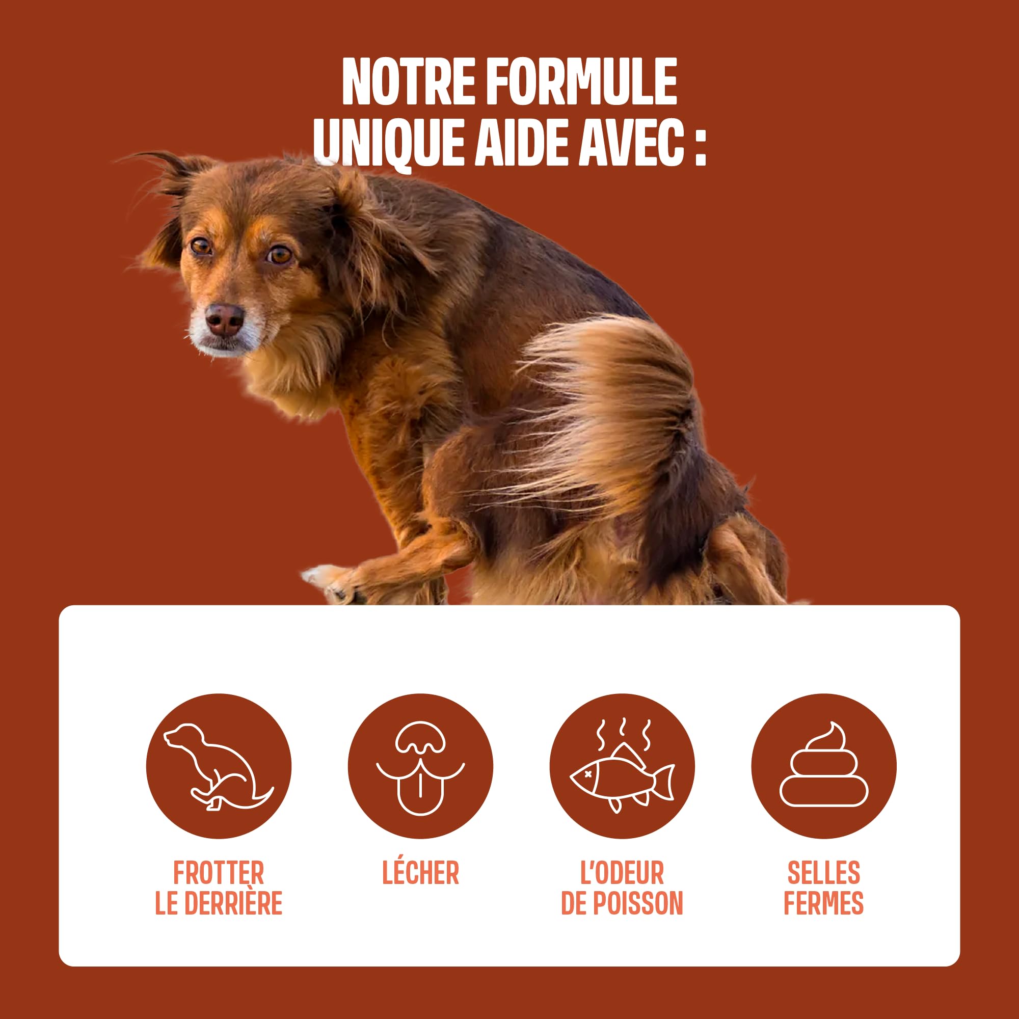 ivvi Anal Gland - 60 Snacks pour la Santé des Glandes Anales des Chiens | Contient Citrouille, Psyllium, Lin, Pissenlit, Ortie et Prébiotiques, à Base de Beurre de Cacahuète 270 g