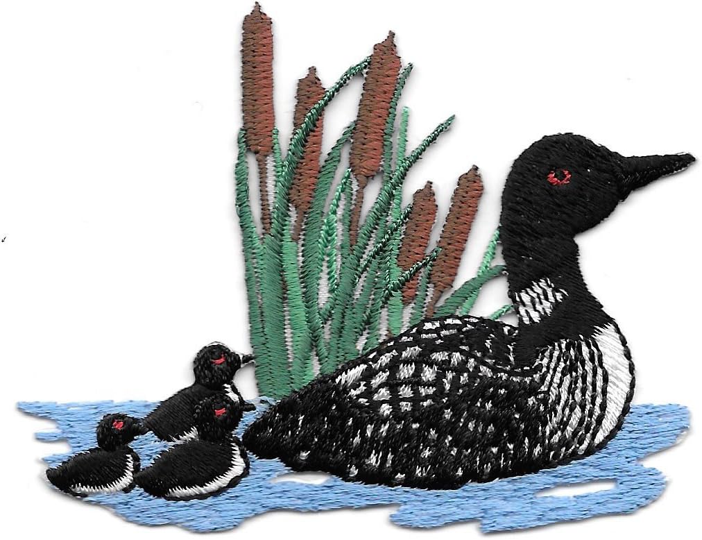 Loon W/chicks Bird Embroidered Iron on Applique Patch