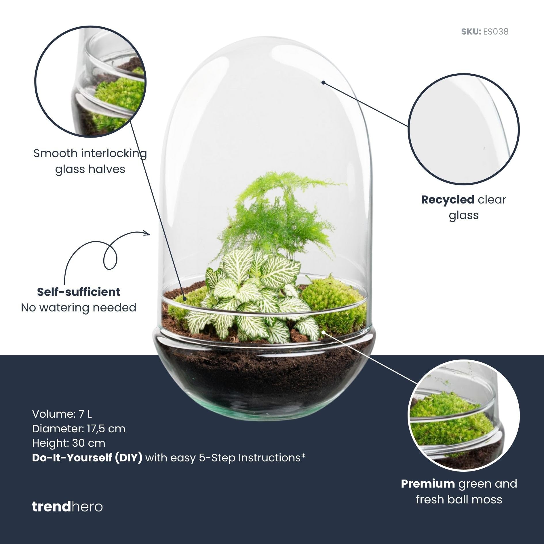 Zestaw terrarium DIY • Egg XL • Ekosystem w szklanym jajku • ↑ 30 cm – DIY – kompletny zestaw terrarium – terrarium roślin – urbanjngl | bez narzędzi
