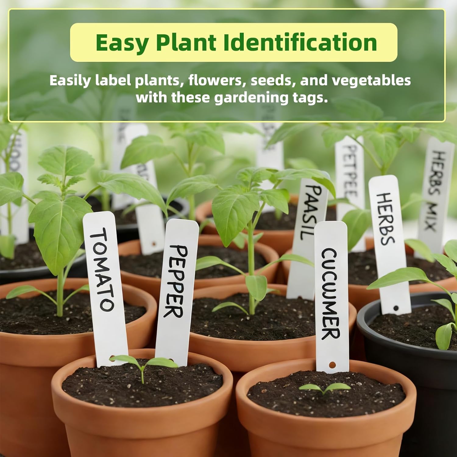 Plant Labels 250 PCS, Slim White Garden Plant Tags with Holes, PP Plastic Waterproof Labels with Permanent Marker, Jute Twine & Storage Box for Indoor & Outdoor Gardening (250PCS) - Image 3