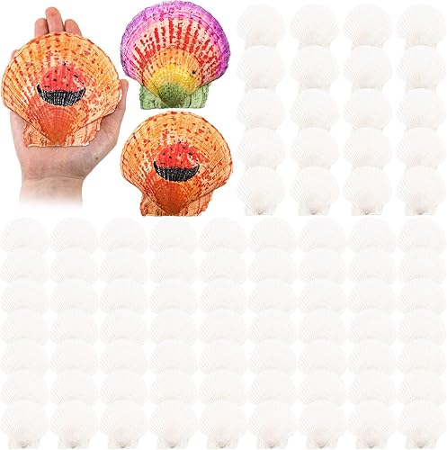 100 piezas de concha de mar para manualidades, conchas de ostras blancas de vieira grandes naturales a granel para decorar el hogar, playa, boda,