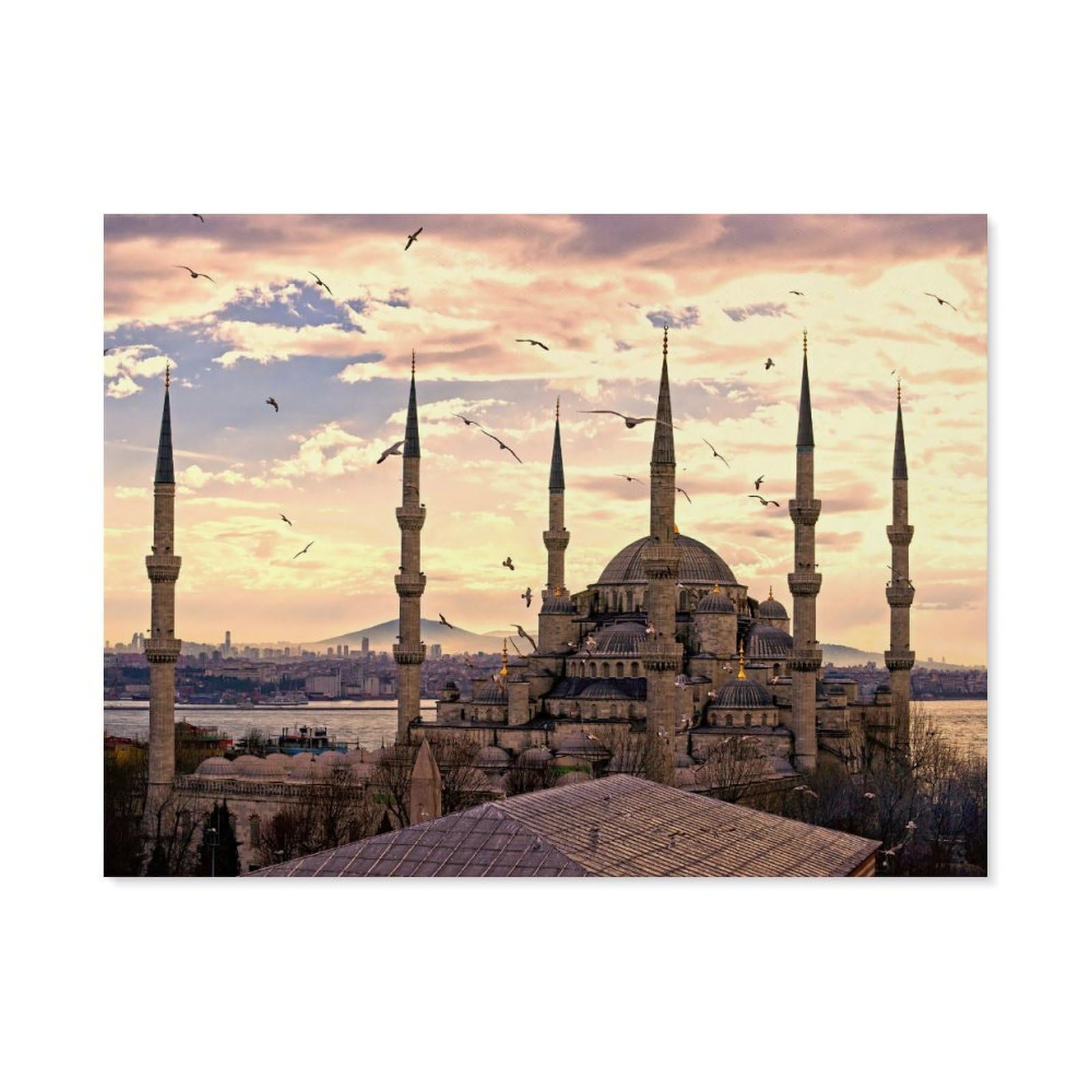 Beayodkp A19 Paint By Numbers，Turkey Istanbul，Landscape Kit For Adults Beginner Diy Oil Painting(20X30cm) 7.8X11.8 Inches-D62