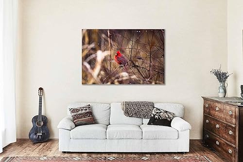 Miniatura 5 de Nature Canvas Wall Art (Ready to Hang) Gallery Wrap of Red Cardinal Resting on Branch Between Raindrops on Winter Day in Oklahoma Bird Photography