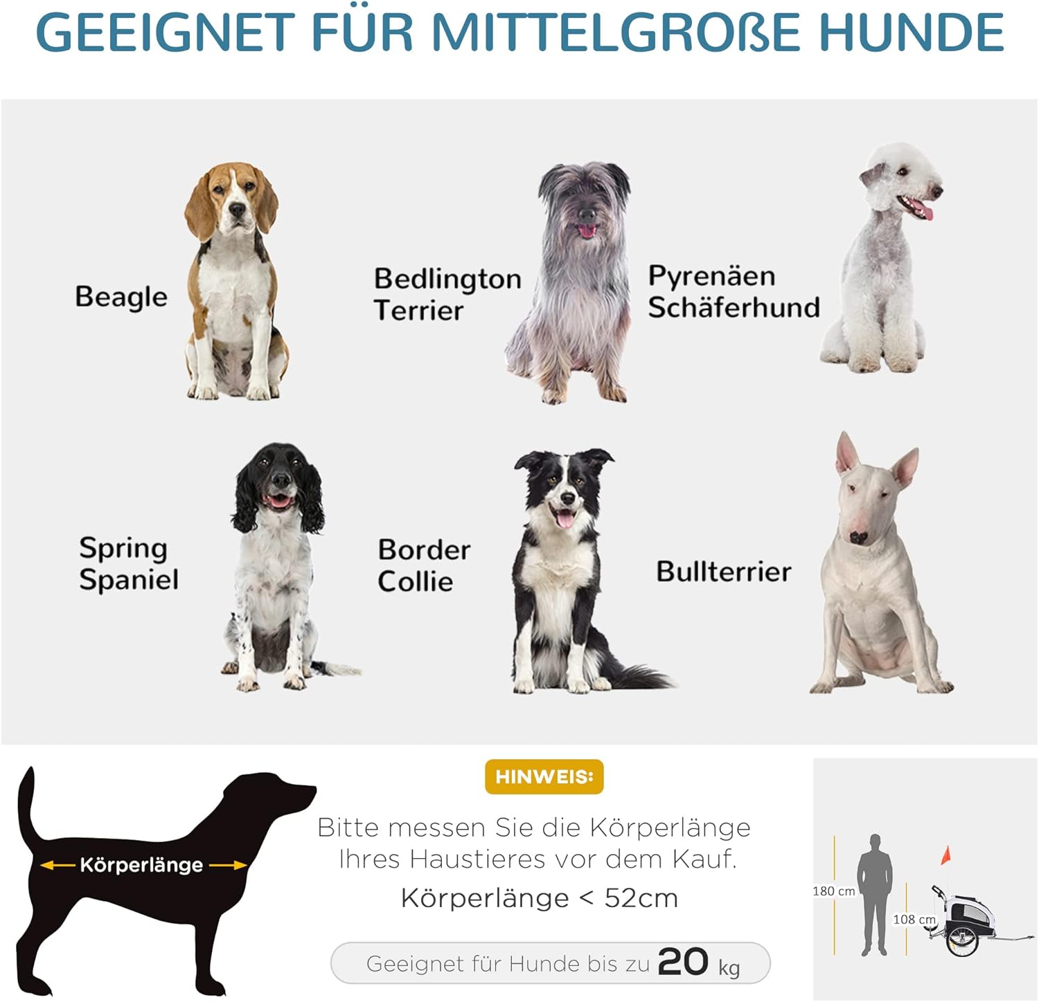 Infographic showing various medium dog breeds and a guide for measuring pet body length and height for compatibility with the trailer.