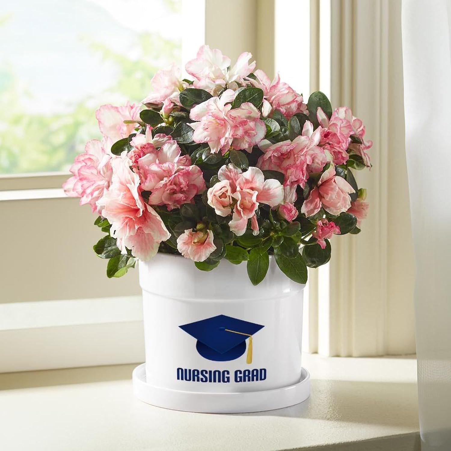 CafePress Nursing Grad Dark Blue Hat 4" H x 4.5" Unique Porcelain Planter Decorative Flower Pot with Removable Saucer