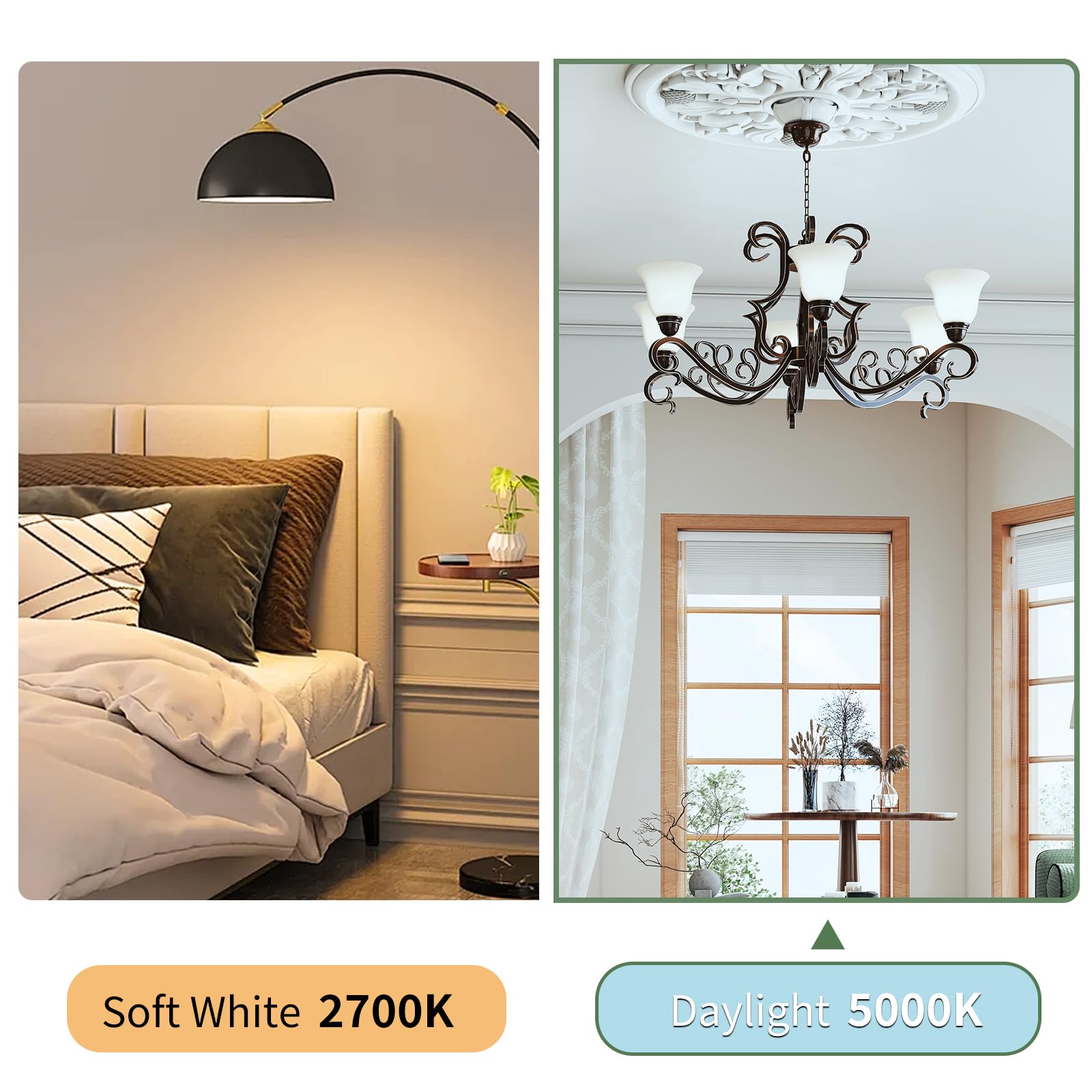 6-Packs A19 LED Light Bulbs 100 Watt Equivalent Daylight 5000K Bright Bulbs Efficient 13W 1500 Lumens E26 Base — view 8