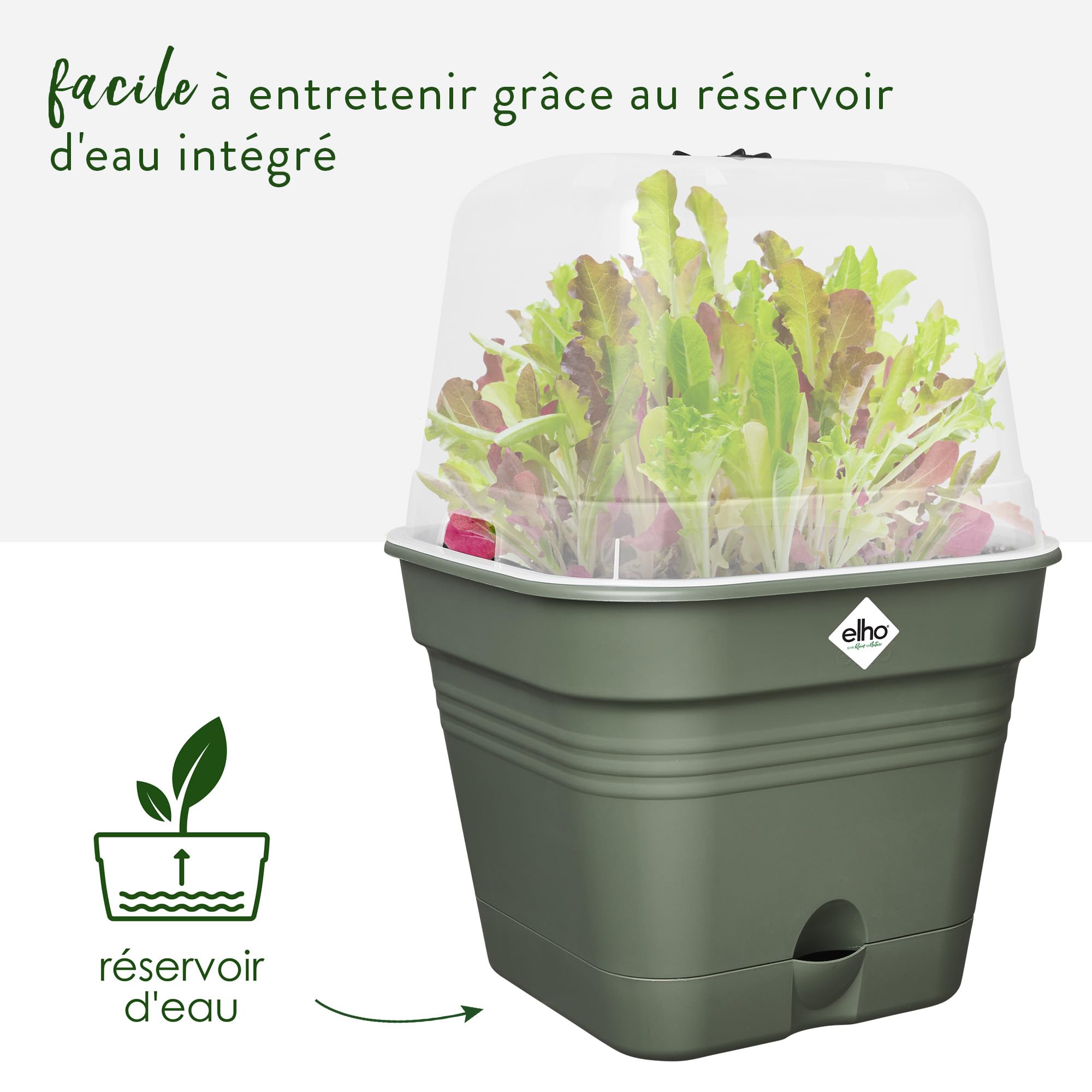 Elho Amazing Avocado Pot 12 - Plastique 100% Recyclé - Pot De Fleurs Pour Culture & Récolte - Plastique 100% Recyclé - 12.0 X H 12.1 Cm - Vert/Leaf Green