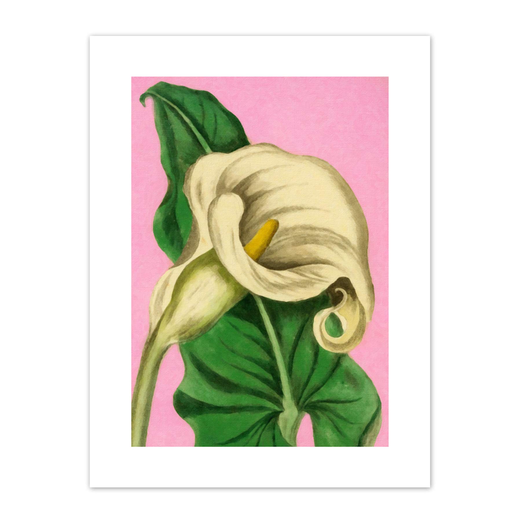 Calla Lily Painting Art Print Canvas Premium Wall Decor Poster