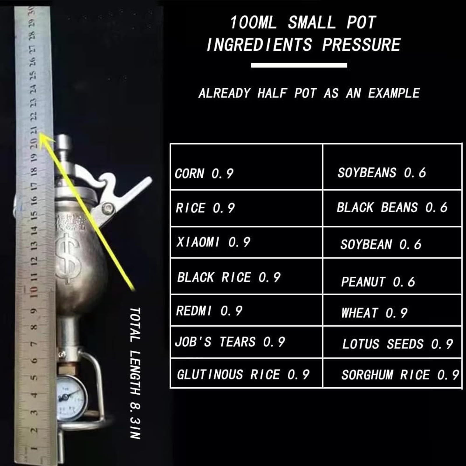 Popcorn Popper in Acciaio Inox 304, Popcorn Manuale a manovella, Popcorn a grani, Riscaldamento Lento, con manometro, Adatto per Feste in Famiglia (100 ml)