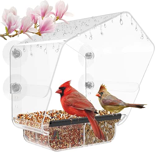 Ermete Window Bird Feeder with Strong Suction Cups, Large View
