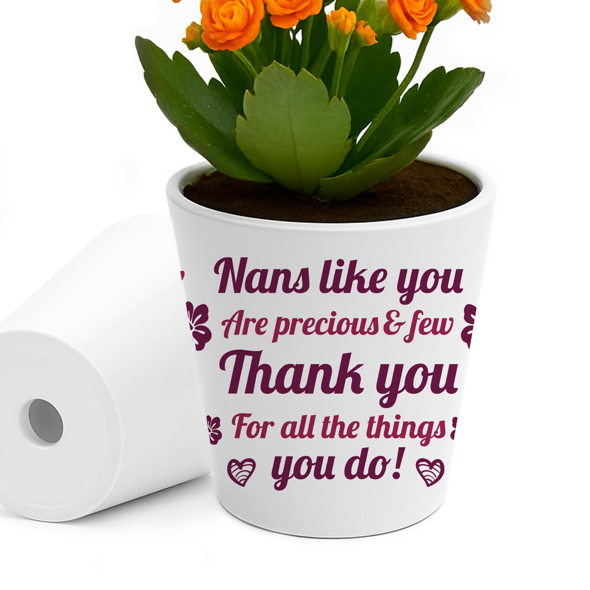 Red Ocean Nanny Birthday Gifts Best Nanny Ever Plant Pot Gifts for from Grandchildren Unique Garden Gift Ideas for on Birthday Mothers Day Christmas