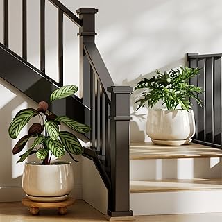 LE TAUCI Ceramic Planters, 10 + 12 Inch Pots for Plants, Indoor Plant Pots with Drainage Holes and Saucers, Modern Planters Fit Mid Century Plant Stand, Reactive Glaze Beige