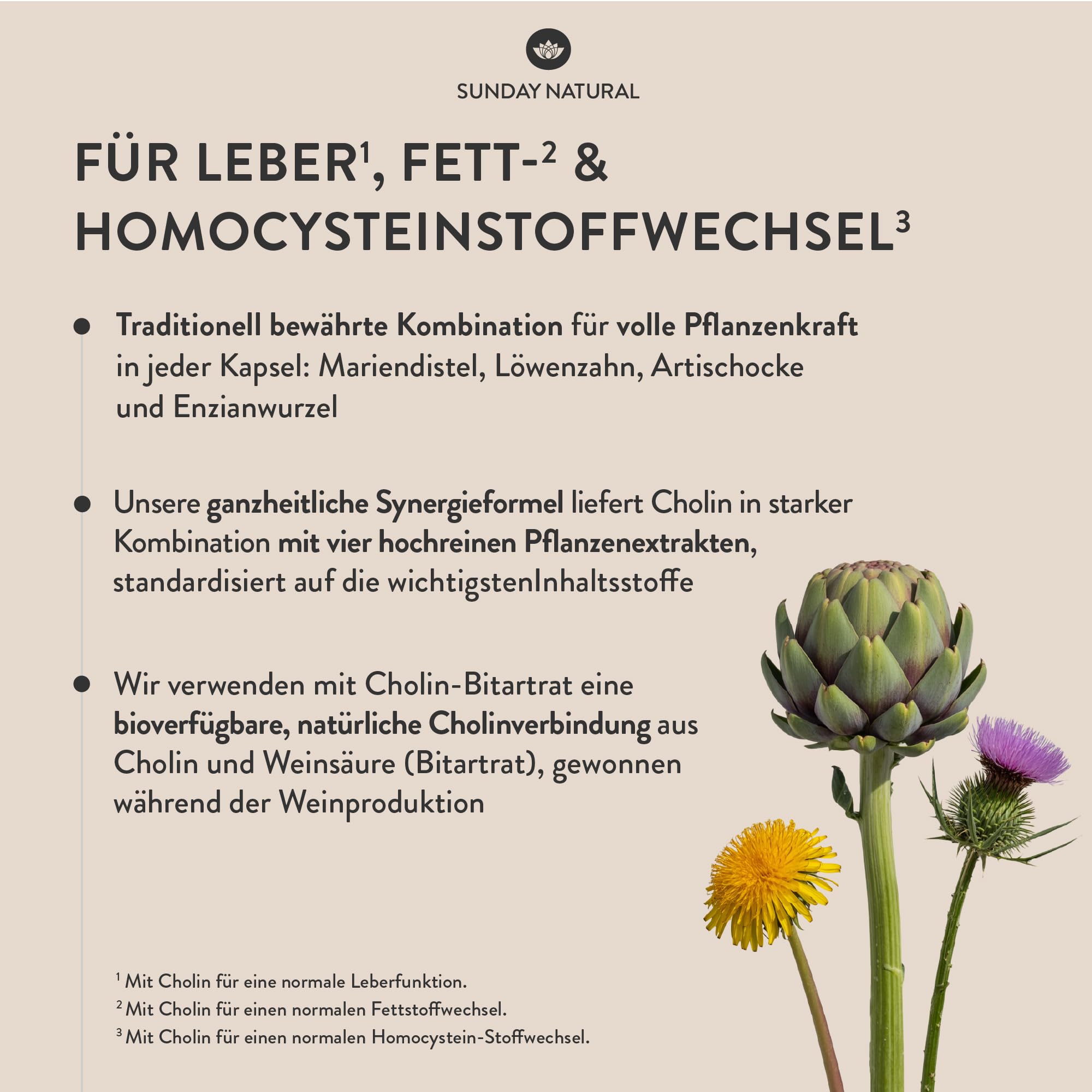 SUNDAY NATURAL® Mariendistel Artischocke Löwenzahn - 180 Cholin Kapseln - Leber Komplex mit 80% Silymarin & 100mg Cholin - Hochdosiert, vegan, laborgeprüft in Deutschland