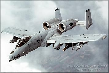 History Galore 24"x36" Gallery Poster, A-10 Thunderbolt II warthog