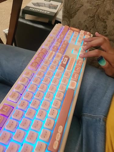 Amazon | AKKO x MG108B Bun Wonderland メカニカルキーボード ホット