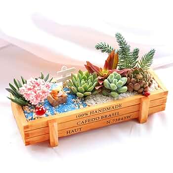woodミニパーゴラ　フラワープランターBOX多肉植物・観葉植物 woodミニパーゴラフラワープランターBOX多肉植物・観葉植物