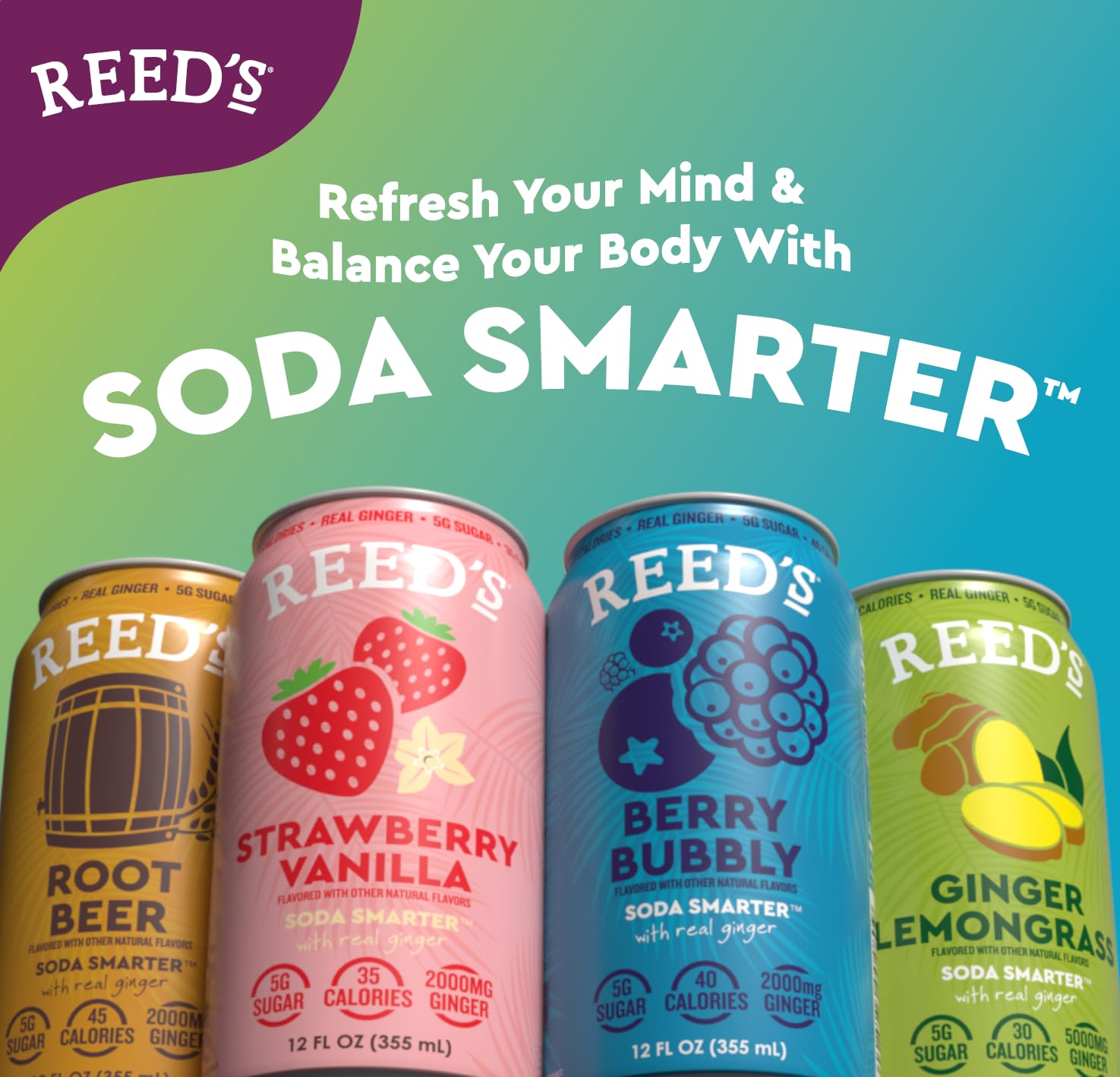 Reed's Strawberry Vanilla Functional Soda - Organic Ginger, Adaptogen Mushroom Blend, Prebiotics - 12oz Cans, 12-Pack