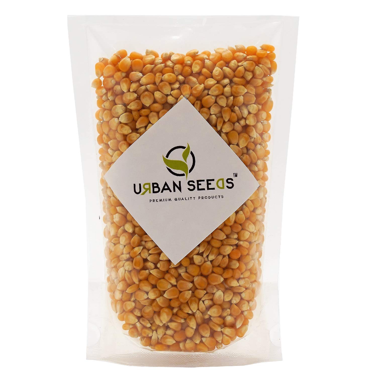 URBAN SEEDS Popcorn Kernels (Makki)-2Kg Unpopped Popcorn-A Gread
