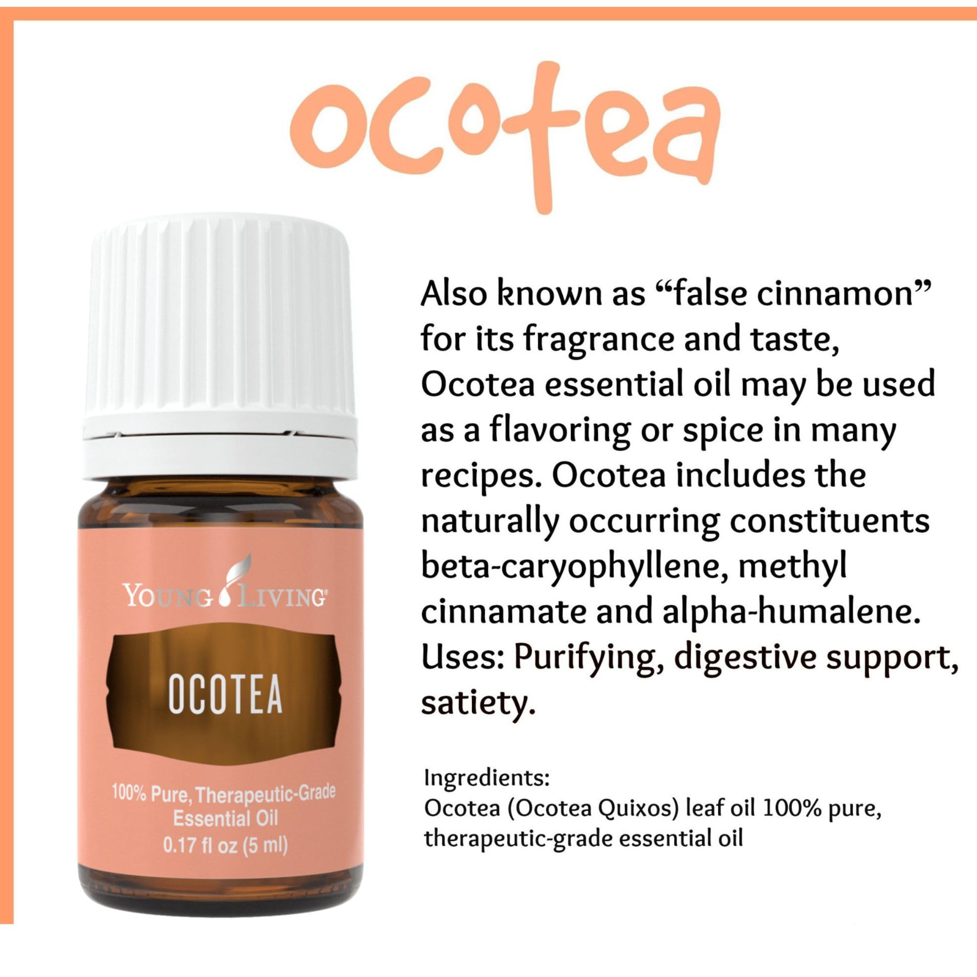 Amazon.com: Young Living - Ocotea Essential Oil 5 ml | Used