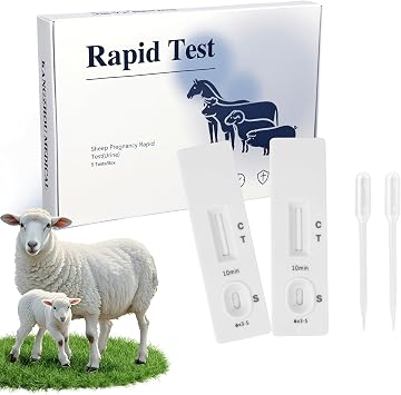 Sheep Pregnancy Test Kit - 2 Urine Test Strips for Early Detection in Ewes & Goat, Rapid & Accurate Results in 10 Minutes, Farm Use Breeding Detection Device 18-90 Days Post-Breeding