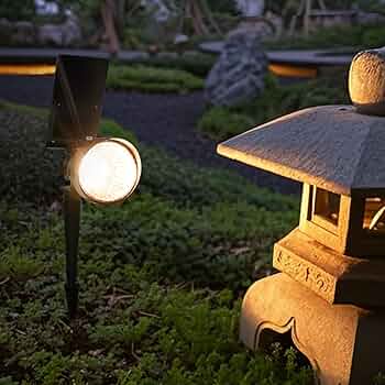 719FtohtPtL._AC_UF350,