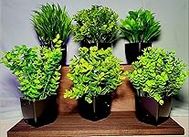 Review Image by Chris Montanari Chris Montanari