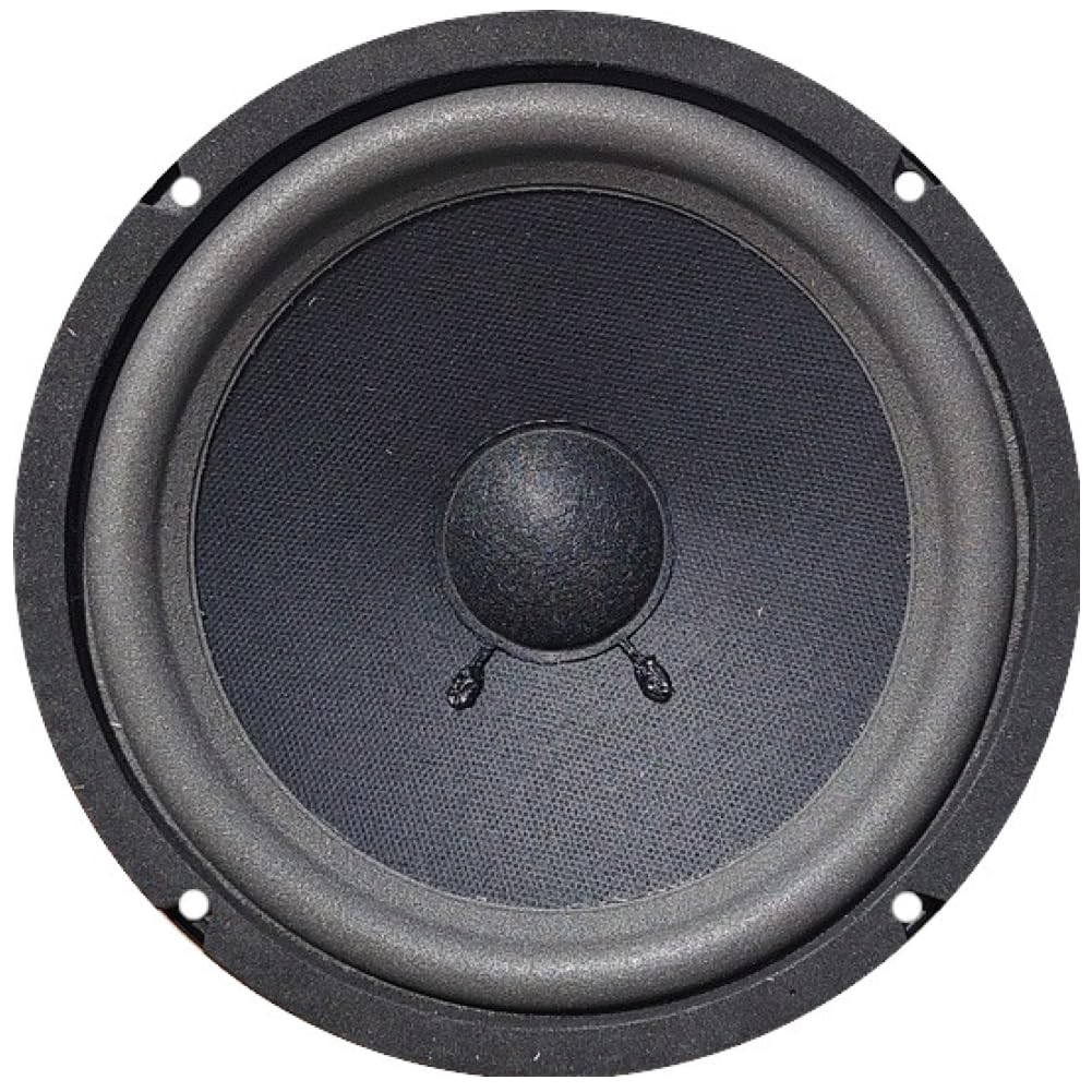 KIT Set pour CIARE HW202 1 woofer 20 cm 200 mm 8" diamètre 80 Watts rms et 180 Watts Max, impédance 8 ohm, 90 DB, pour Enceinte de fête à Domicile, 1 pièce