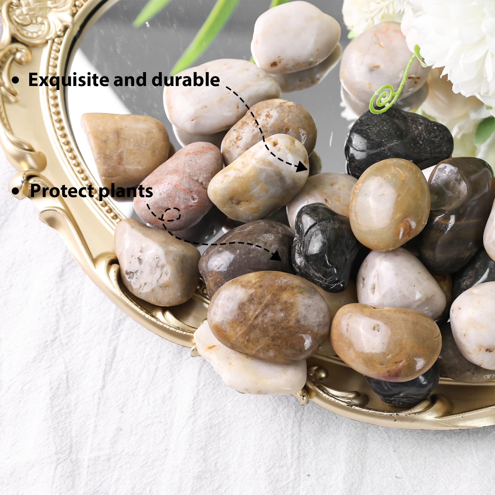 Snapklik.com : 2.5LB Pebbles For Plants, Pebbles Polished Gravel River ...